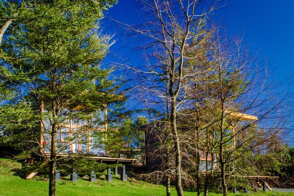 Вілла Las Magnolias Lofts Пуерто-Варас Номер фото